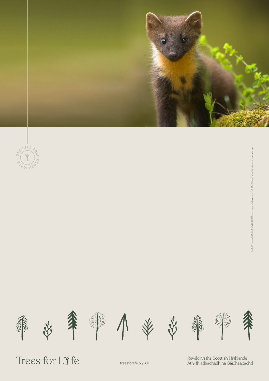 stoat