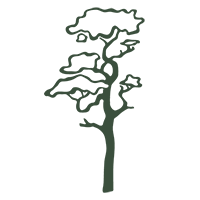 > Start a Grove